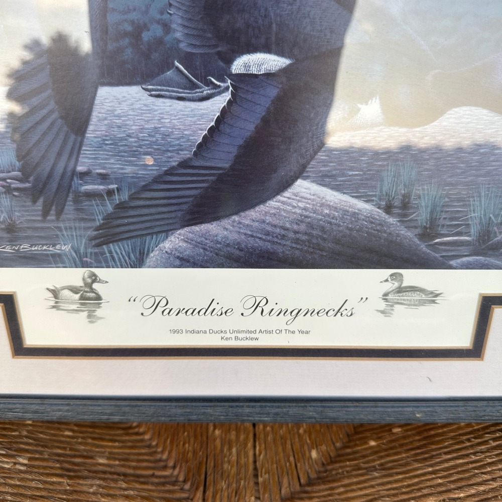 Ken Bucklew Paradise Ringnecks 1993 Indiana Ducks Unlimited Framed Print 21/2000 - Picture 3 of 6